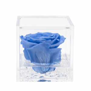 Flowercube rose stabilizzate colore azzurra