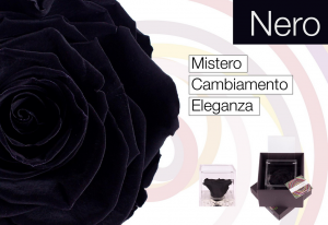 Flowercube rose stabilizzate colore black