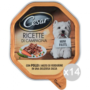 Set 14 CESAR Ricetta Campa Vaschetta Pollo Verdurine 150Gr Articolo Per Cani