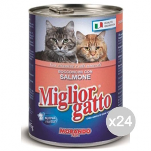 Set 24 MIGLIOR GATTO Bocconcini Salmone 400 Gr. Cibo Per Gatti