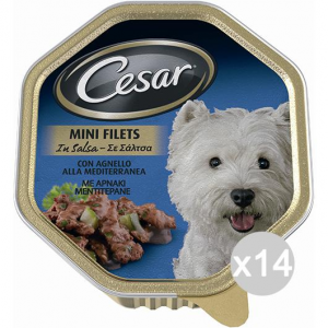 Set 14 CESAR Ricetta Campa Vaschetta Manzo Pasta Car 150Gr Articolo Per Cani