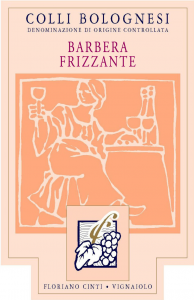 Barbera Frizzante 2020 (in cartone da 12 bottiglie)