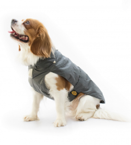 Fashion Dog - Cappotto Impermeabile - con Imbottitura Staccabile