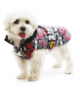Fashion Dog - Piumino Impermeabile