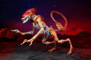 Aliens: PANTHER ALIEN (Kenner Tribute) by Neca
