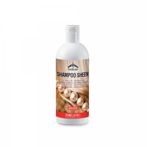 Shampoo Sheen