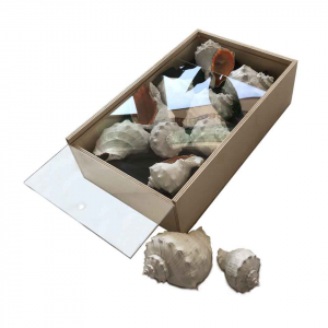 Scatola in legno con coperchio scorrevole trasparente 28,6x17