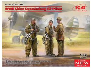WWII China Guomindang AF Pilots