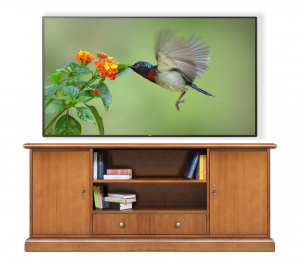 TV-Lowboard aus Holz H 67 cm