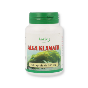 ALGA KAMATH - 60OPR