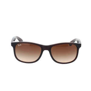 Sonnenbrille Ray-Ban Andy RB4202 607313