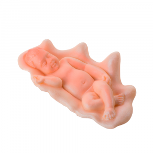 Baby on shell - Silicone mould