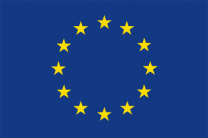 BANDIERA UNIONE EUROPEA