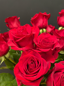 Mazzo di rose rosse a gambo medio Freedom - Scegli il numero di rose che vuoi