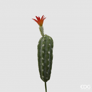 Cactus riccio con fiore H. 33 cm.