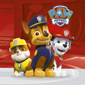 Candela di compleanno Skye Paw Patrol™: Addobbi,e vestiti di carnevale  online - Vegaoo