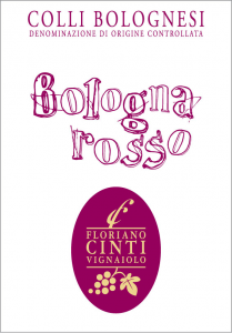 Bologna Rosso 2020 (in cartone da 6 bottiglie)