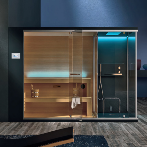 Sauna Cabin with integrated Steam Shower Cabin Ethos C HAFRO