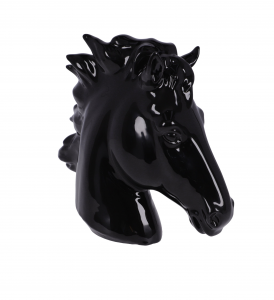 Testa cavallo Nero