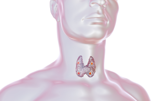 Iodio Antioxy Complex - Contribuisce alla normale produzione di Ormoni della Tiroide e alla normale Funzione Tiroidea
