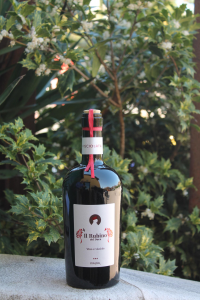 Vino di Visciola - Il Rubino del Duca - 6 x 50cl