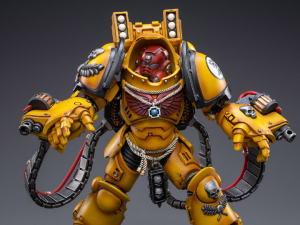 Warhammer 40K IMPERIAL FISTS AGGRESSOR Brother Sergeant Lycias by Joy Toy