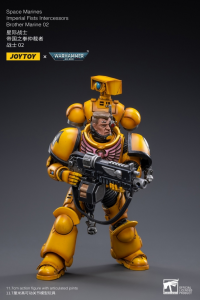 Warhammer 40K IMPERIAL FISTS AGGRESSOR Brother Marine 02 by Joy Toy