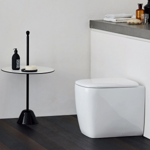 Flush-WC in verschiedenen Farben Einfaches Nic-Design