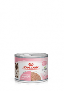 Royal Canin MOTHER & BABYCAT mousse ultra soffice 0.195g