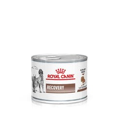 Royal Canin Recovery 0,195g