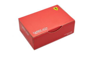 Ferrari F60 Italian Gp 2009 1/43 Kit Tameo