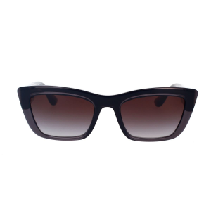 Occhiali da Sole Dolce&Gabbana DG4407 501/8G