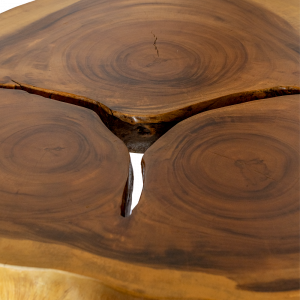 Tavolo round radice di suarn con gambe in ferro stilizzate