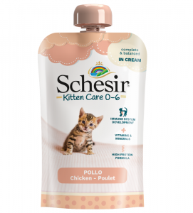 Schesir Cat - In Cream - Kitten - 150g x 20 buste