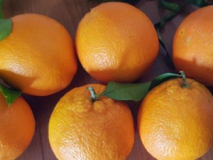 Navelina oranges cal.1