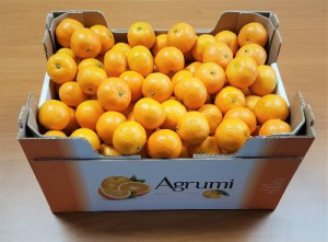 Organic Clementines cal.4