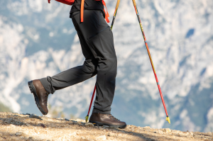 309 NEW TRAIL LITE GTX®  -  Men's Hiking Boots  -  Waxed Chestnut