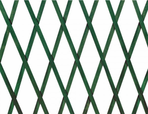 Traliccio estensibile 1x3m verde