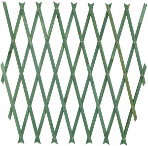 Traliccio estensibile 1x2m verde