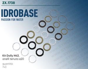 Kit Dolly H43 IDROBASE valido per pompe HAWK (Leuco) composto da anelli di tenuta ø20