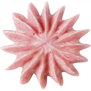 Nozzle for pastry bag - Multi-tip flower