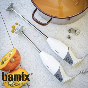 Frullatore ad immersione Bamix Gastro BX G200