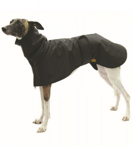 Fashion Dog - Cappotto Impermeabile - Per Levriero