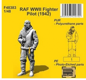 RAF WWII Fighter Pilot