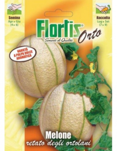Flortis melone retato