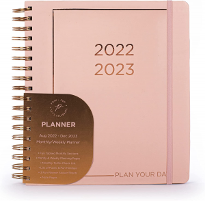 Tri-Coastal Design Posh Pop Agenda 16 Mesi Settimanale 2023 rosa salmone