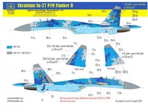 Su-27 P1M