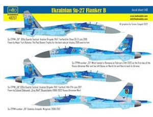Ukrainian Su-27 P1M