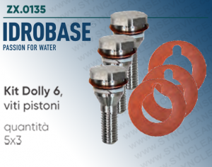 Kit Dolly 6 IDROBASE gültig für Hochdruckreinigerpumpen W92, W132, W162 INTERPUMP composto vite pistone