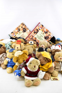 Collezione Di Orsetti Peluches Teddy Bear Collection 26 Pezzi 20 Cm Con Libro